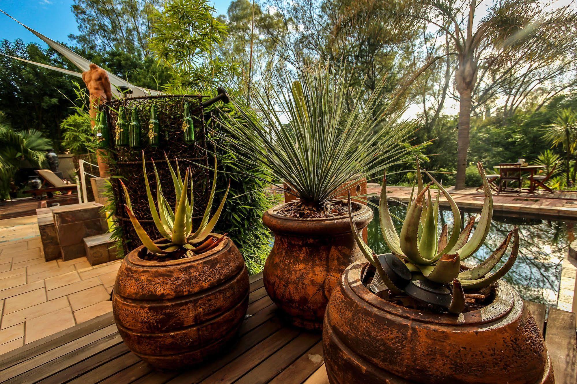 Twin Waters Guest House Randburg Extérieur photo